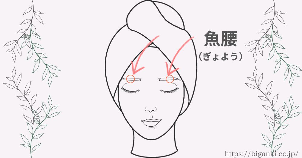 眉間のしわを消すツボ押しマッサージ法の最後は、魚腰（ぎょよう）眉毛の真ん中です。